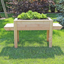 Dim Larch Planter