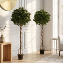Outsunny Realistic Lush Topiary Ball Tree with Twisted Trunk, Green