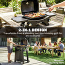 Outsunny 2 Burner Gas Grill, 3.8 KW Barbecue Grill With Cast Iron Grates