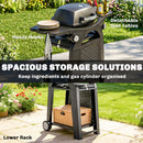 Outsunny 2 Burner Gas Grill, 3.8 KW Barbecue Grill With Cast Iron Grates