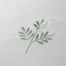 Serene Emily Embroidery Duvet Cover Set In White/Green