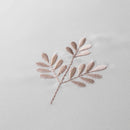 Serene Emily Embroidery Duvet Cover Set In White/Natural