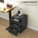 3 Drawer Rolling File Cabinet With Wheels Under Desk Mobile Filing Cabinet - Black/White
