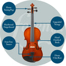 Forenza Prima I Violin Outfit - Full Size