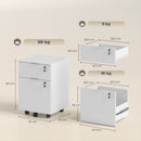 HOMCOM 2 Drawer Filing Cabinet with Adjustable Hanging Bars for A4 and Letter