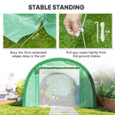 Outsunny Walk-in Tunnel Greenhouse, Upgraded Structure, Mesh Door & Windows
