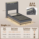 HOMCOM Lift up Storage Bed Frame with RGB LED Lights Dark Grey