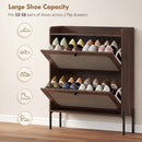 HOMCOM Boho Narrow Shoe Cabinet, Shoe Rack with 2 Flip Drawers, Dark Brown