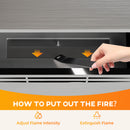 HOMCOM Stainless Steel Bioethanol Fire, Indoor Ethanol Fireplace Insert