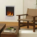 HOMCOM Stainless Steel Bioethanol Fire, Indoor Ethanol Fireplace Insert