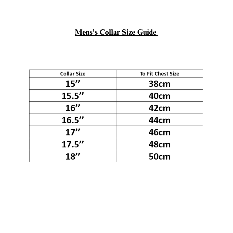 Gianni Savicci Regular Fit Long Sleeve Shirt - Grey