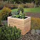 Irena Larch Planter
