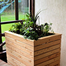 Irena Larch Planter