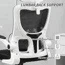 Vinsetto Mesh Office Chair With Adjustable Headrest, Lumbar Support, Black