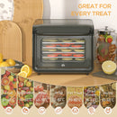 HOMCOM Food Dehydrator with 6 Stainless Steel Tray, for Fruit, Meat