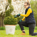 Bosch Isio 3.6V Cordless Grass And Shrub Shear