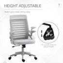 Vinsetto Mesh Office Chair Home Swivel Task Chair w/ Lumbar Support, Arm, Grey