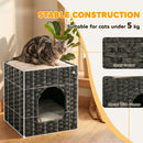 PawHut 2-Tier Wicker Cat House, Rattan Cat Bed with Washable Cushions