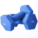 SPORTNOW Set of 2 Hexagonal Dumbbells Weights Pair, 2 x 2kg, Blue