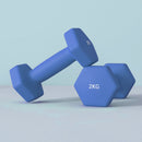 SPORTNOW Set of 2 Hexagonal Dumbbells Weights Pair, 2 x 2kg, Blue
