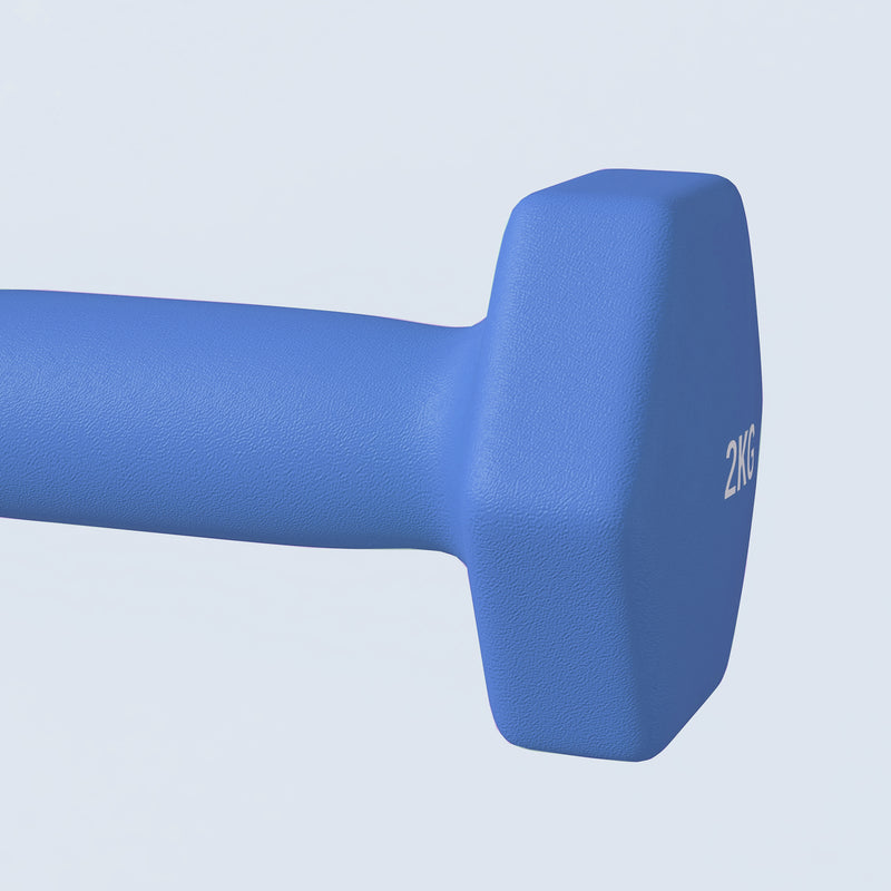 SPORTNOW Set of 2 Hexagonal Dumbbells Weights Pair, 2 x 2kg, Blue