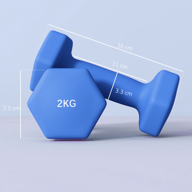 SPORTNOW Set of 2 Hexagonal Dumbbells Weights Pair, 2 x 2kg, Blue