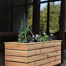 Marta Larch Planter