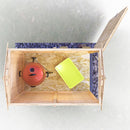 Garden Value Overlap 3 X 5 Shed