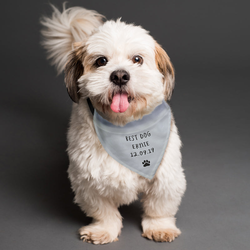 Personalised Grey Dog Bandana