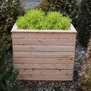 Pia Larch Planter