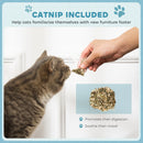 PawHut 2 in 1 Cardboard Cat Scratching Board with Catnip for Indoor Cats