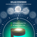 Outsunny Solar Stake Lights 8 Pack, IP44 Pathway Lighting, Auto On/Off LED