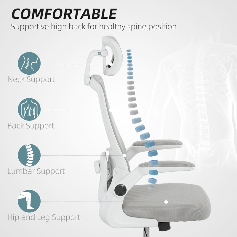 HOMCOM Executive Mesh Office Chair with Headrest, Lumbar Support, Grey