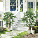 HOMCOM Artificial Ficus Tree, Faux Plant For Home Decor