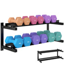 SPORTNOW Wall-Mounted Dumbbell Rack, 2-Tier Steel Design, Black
