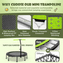 110 CM Mini Trampoline Bounce with Height Adjustable Handrail-Green