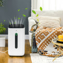HOMCOM 20L/Day Quiet Air Dehumidifier With Purifier, Timer, For Home Laundry