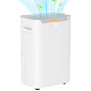 HOMCOM 20L/Day Dehumidifier For Home Damp, With 24H Timer, White