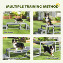 PawHut 3 Pieces Wooden Dog Agility Training Equipment, Grey