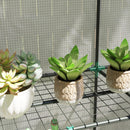 Outsunny 3 Tier Lean-to Mini Greenhouse With Hemmed Edging, White