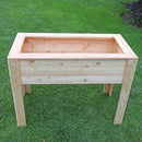 Stef Larch Planter