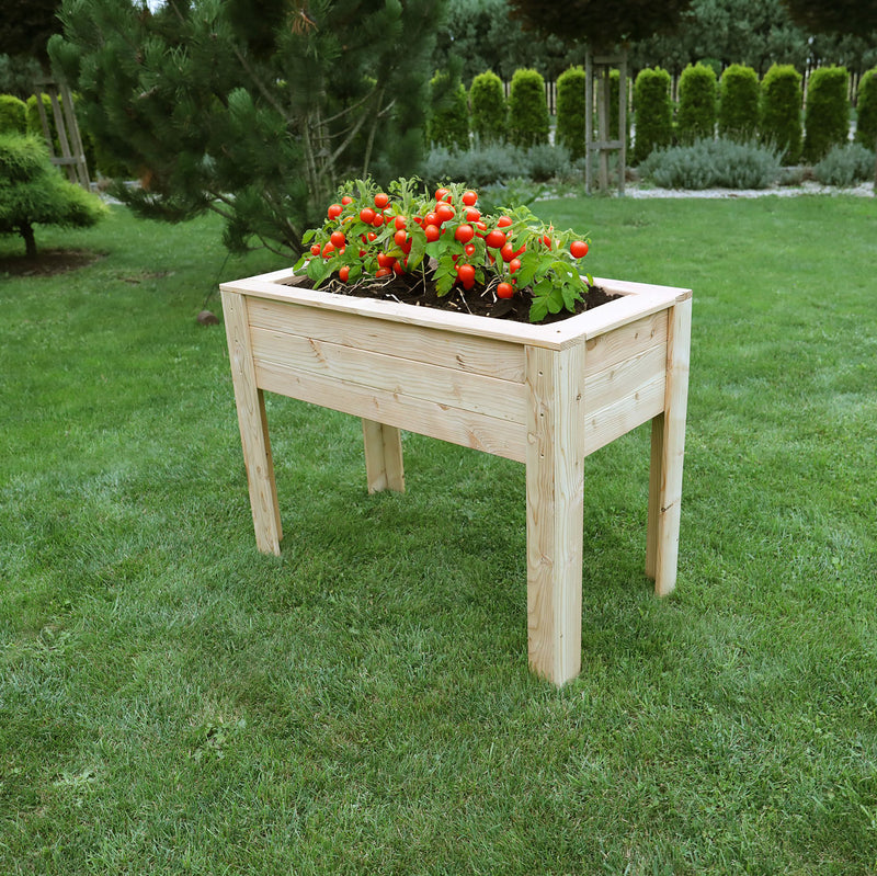Stef Larch Planter