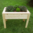 Stef Larch Planter