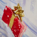 Fusion Santa & Snowy Duvet Cover Set in Multi