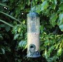 Bird Seed Feeder