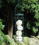 Bird Suet Feeder
