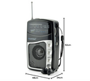 Lloytron 2Band Entertainer Sports Radio With Earphones