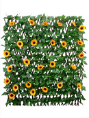Expanding Ivy Trellis With Sun