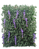 Expanding Ivy Trellis With Wisteria