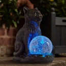 Cat Star Gazer